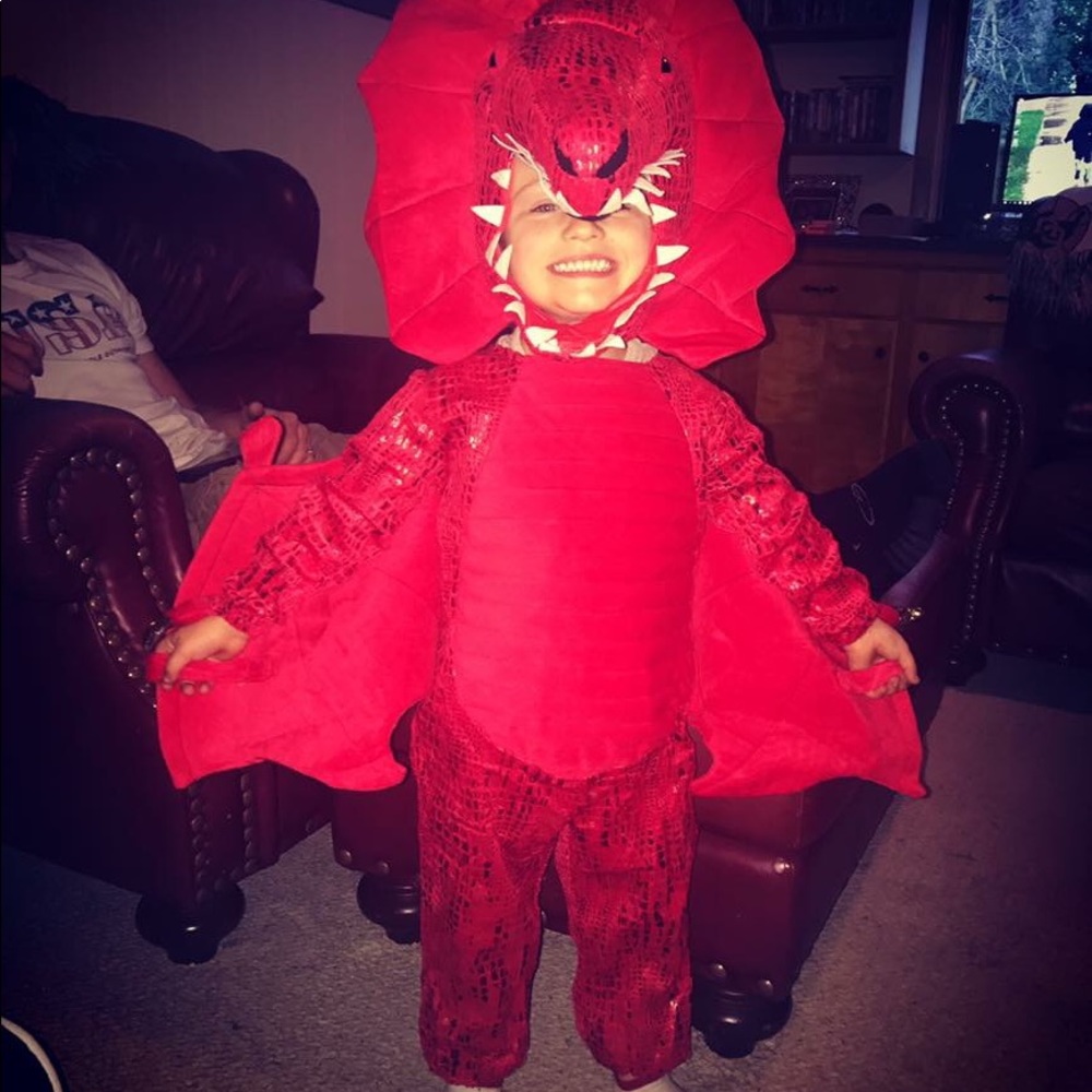 Pottery Barn Kids - Dinosaur Costume